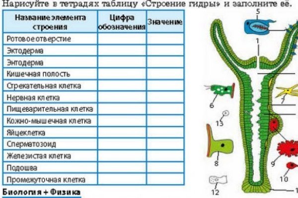 Кракен даркнет слушать