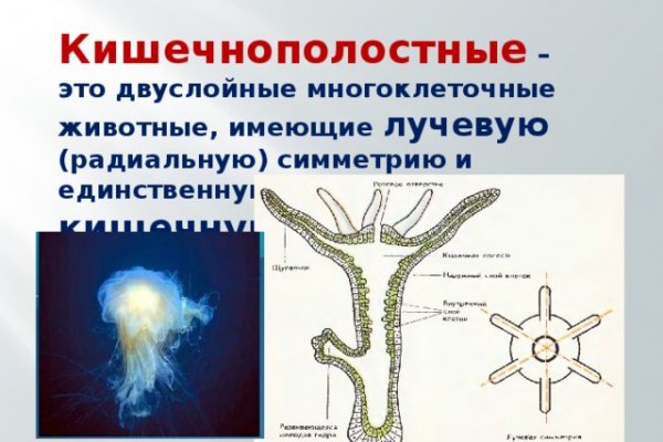 Действующие ссылки на кракен