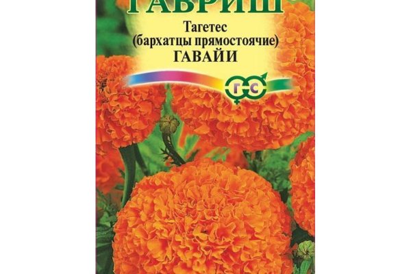 Сайт kraken darknet