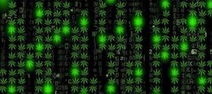 Кракен обход